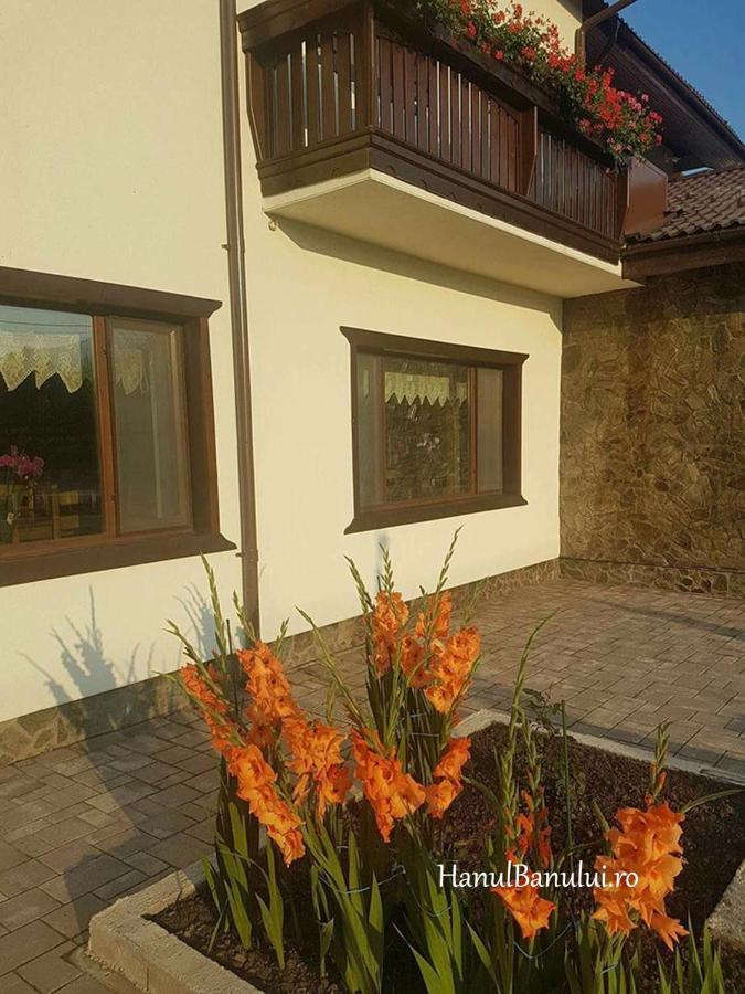 Complex Transalpina Hotel Aninisu din Vale ภายนอก รูปภาพ