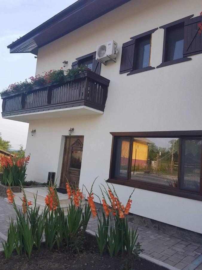 Complex Transalpina Hotel Aninisu din Vale ภายนอก รูปภาพ